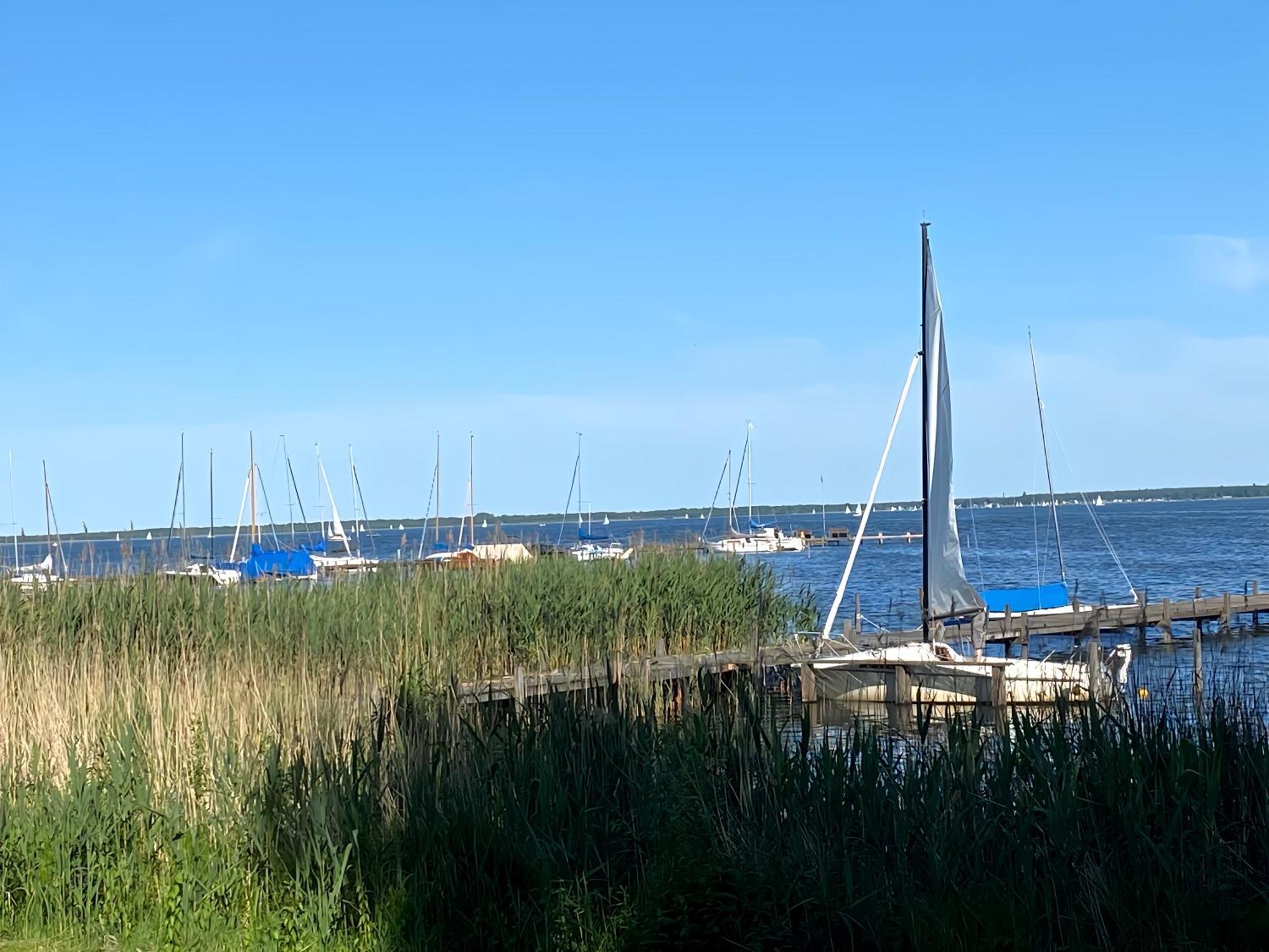 Sea Mardorf *